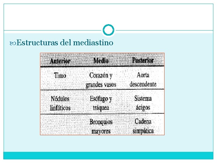  Estructuras del mediastino 