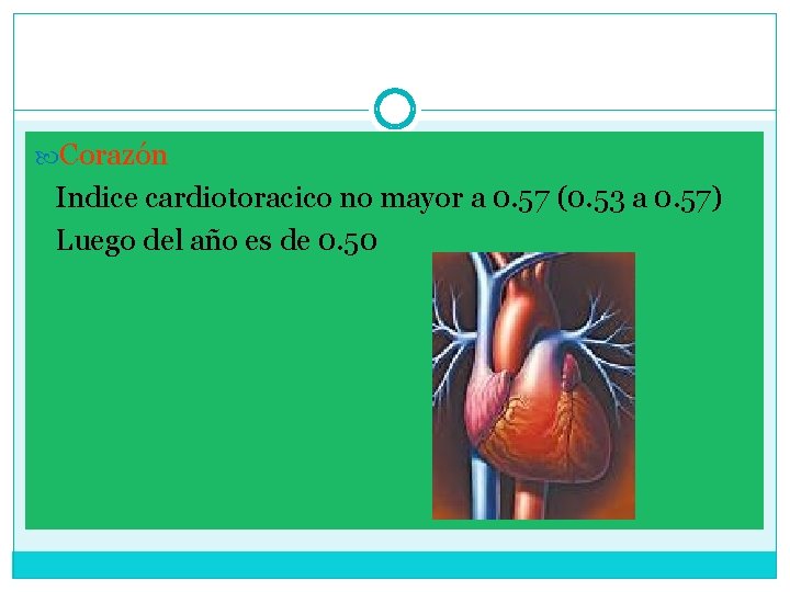  Corazón Indice cardiotoracico no mayor a 0. 57 (0. 53 a 0. 57)