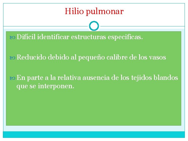 Hilio pulmonar Difícil identificar estructuras especificas. Reducido debido al pequeño calibre de los vasos