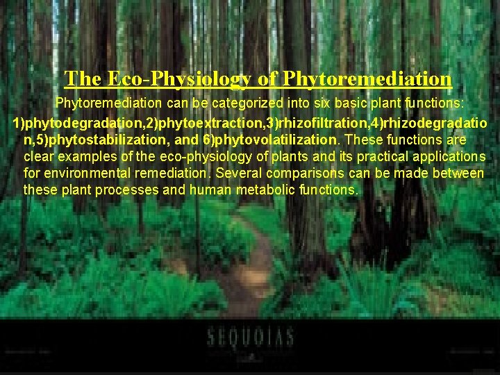 The Eco-Physiology of Phytoremediation can be categorized into six basic plant functions: 1)phytodegradation, 2)phytoextraction,