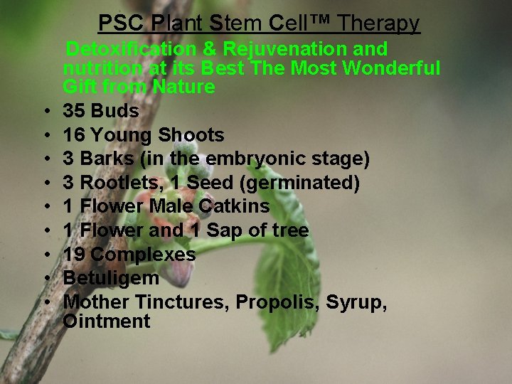  PSC Plant Stem Cell™ Therapy Detoxification & Rejuvenation and nutrition at its Best