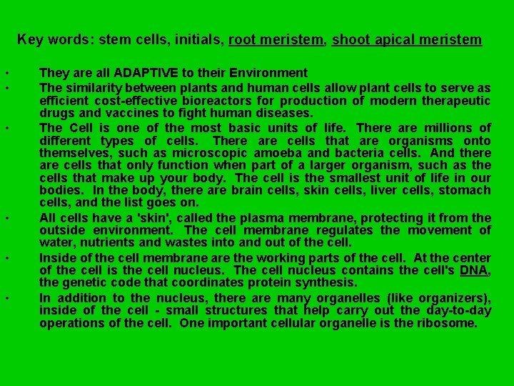 Key words: stem cells, initials, root meristem, shoot apical meristem • • • They