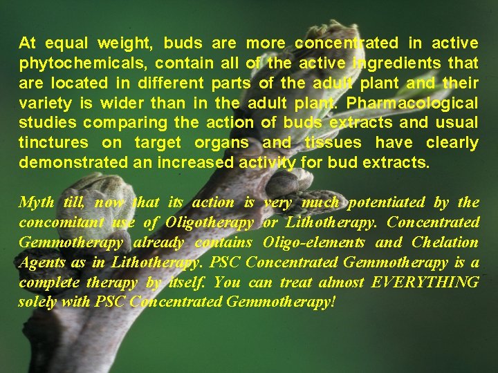 At equal weight, buds are more concentrated in active phytochemicals, contain all of the