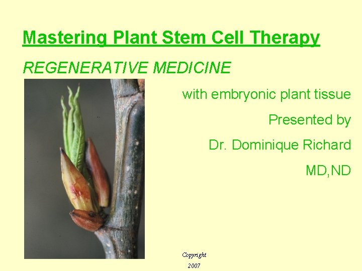Mastering Plant Stem Cell Therapy REGENERATIVE MEDICINE with embryonic plant tissue Presented by Dr.