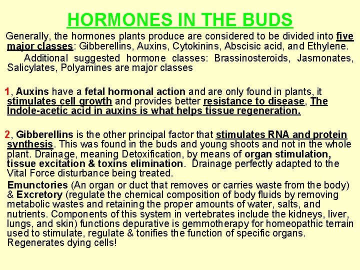 HORMONES IN THE BUDS Generally, the hormones plants produce are considered to be divided