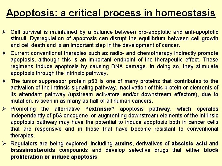 Apoptosis: a critical process in homeostasis Ø Cell survival is maintained by a balance