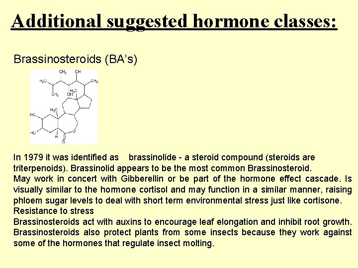 Additional suggested hormone classes: Brassinosteroids (BA’s) In 1979 it was identified as brassinolide -