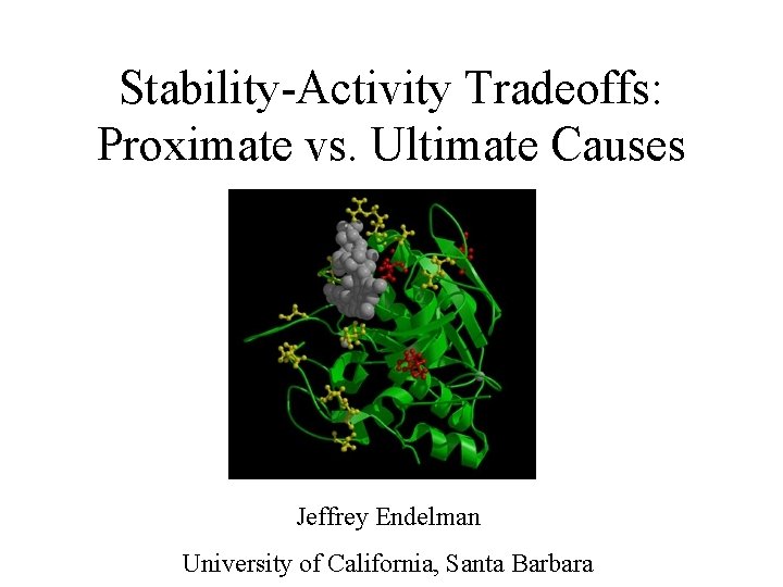 Stability-Activity Tradeoffs: Proximate vs. Ultimate Causes Jeffrey Endelman University of California, Santa Barbara 