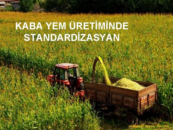 KABA YEM ÜRETİMİNDE STANDARDİZASYAN 1 