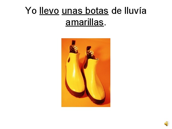Yo llevo unas botas de lluvía amarillas. 