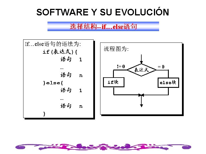 SOFTWARE Y SU EVOLUCIÓN 