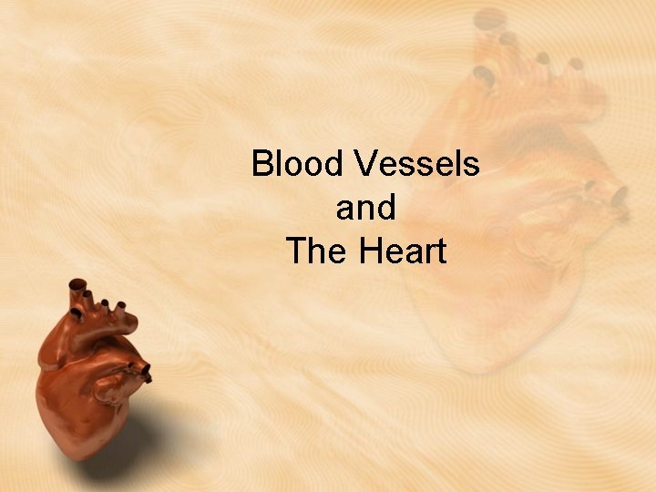Blood Vessels and The Heart Blood Vessels and The Heart