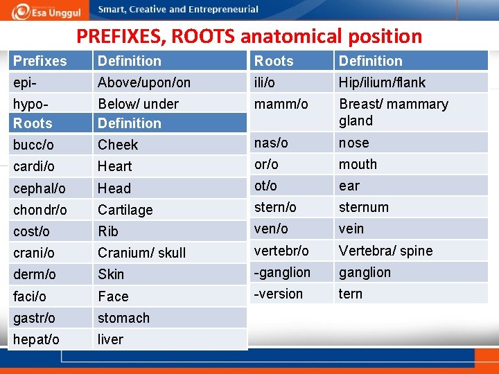 PREFIXES, ROOTS anatomical position Prefixes Definition Roots Definition epi- Above/upon/on ili/o Hip/ilium/flank hypo. Roots