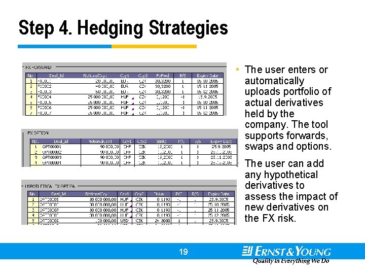 Step 4. Hedging Strategies • The user enters or automatically uploads portfolio of actual