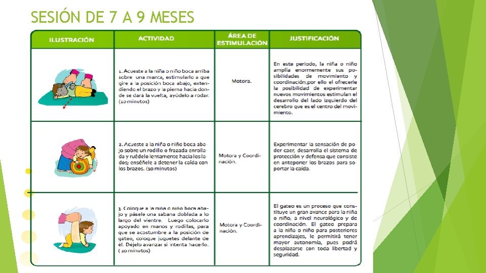 SESIÓN DE 7 A 9 MESES SESIÓN DE 7 A 9 MESES