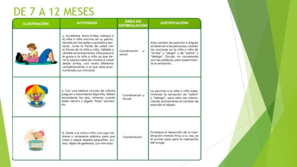 DE 7 A 12 MESES DE 7 A 12 MESES