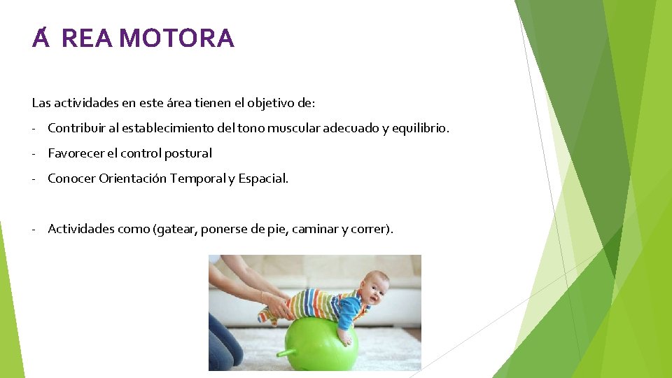 A REA MOTORA Las actividades en este a rea tienen el objetivo de: - A REA MOTORA Las actividades en este a rea tienen el objetivo de: -