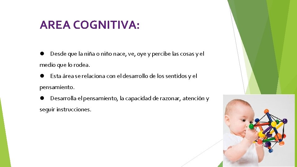 AREA COGNITIVA: l Desde que la nin a o nin o nace, ve, oye AREA COGNITIVA: l Desde que la nin a o nin o nace, ve, oye