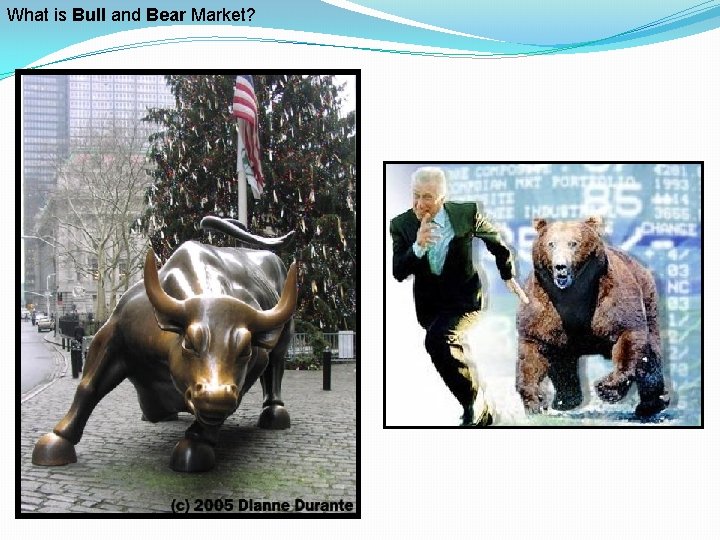 What is Bull and Bear Market? 