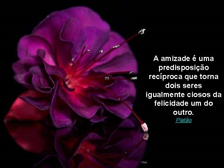 A amizade é uma predisposição recíproca que torna dois seres igualmente ciosos da felicidade