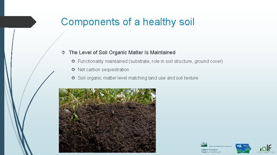 Components of a healthy soil The Level of Soil Organic Matter Is Maintained Functionality