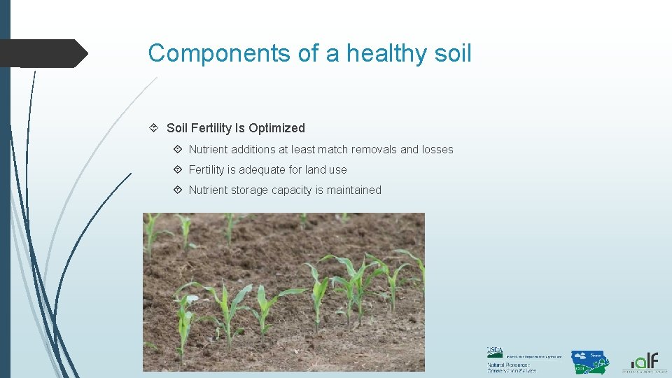 Components of a healthy soil Soil Fertility Is Optimized Nutrient additions at least match