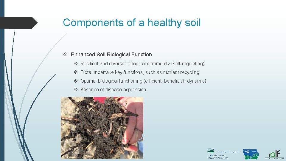 Components of a healthy soil Enhanced Soil Biological Function Resilient and diverse biological community