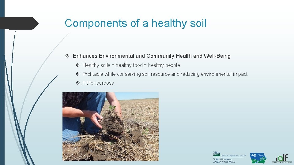 Components of a healthy soil Enhances Environmental and Community Health and Well-Being Healthy soils