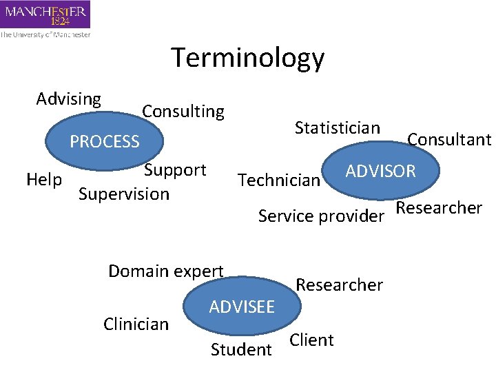 Terminology Advising Consulting Statistician PROCESS Support Help Supervision Technician ADVISOR Service provider Researcher Domain