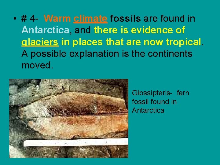  • # 4 - Warm climate fossils are found in Antarctica, and there