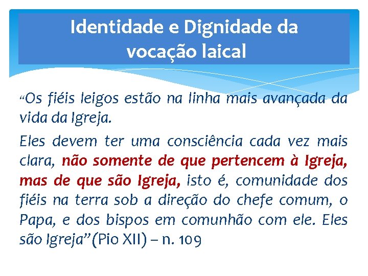 Identidade e Dignidade da vocação laical “Os fiéis leigos estão na linha mais avançada