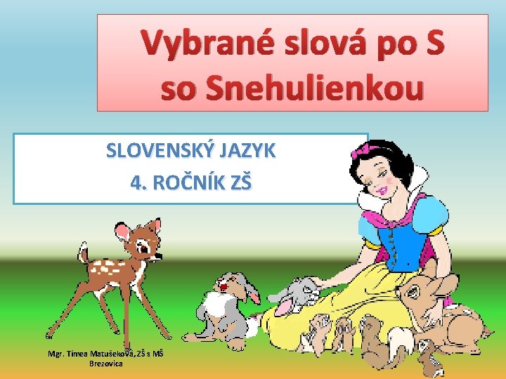 Vybrané slová po S so Snehulienkou SLOVENSKÝ JAZYK 4. ROČNÍK ZŠ Mgr. Tímea Matušeková,