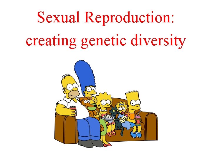 Sexual Reproduction: creating genetic diversity Sexual Reproduction: creating genetic diversity