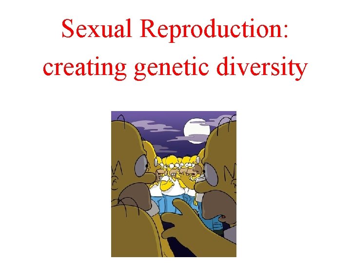 Sexual Reproduction: creating genetic diversity As opposed to asexual reproduction which makes genetic clones. Sexual Reproduction: creating genetic diversity As opposed to asexual reproduction which makes genetic clones.