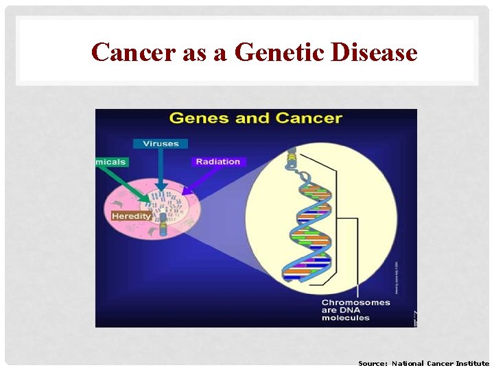 Cancer as a Genetic Disease Source: National Cancer Institute 