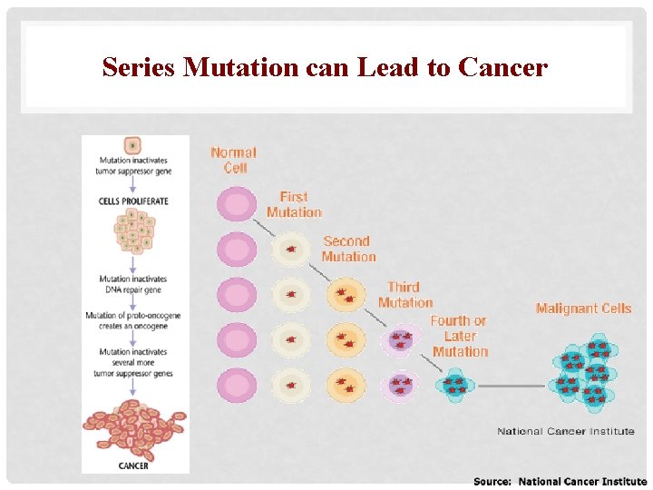 Series Mutation can Lead to Cancer 