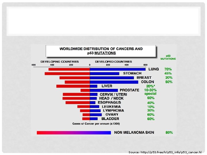 Source: http: //p 53. free. fr/p 53_info/p 53_cancer. hl 