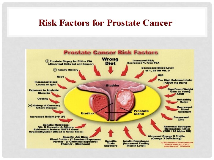 Risk Factors for Prostate Cancer 