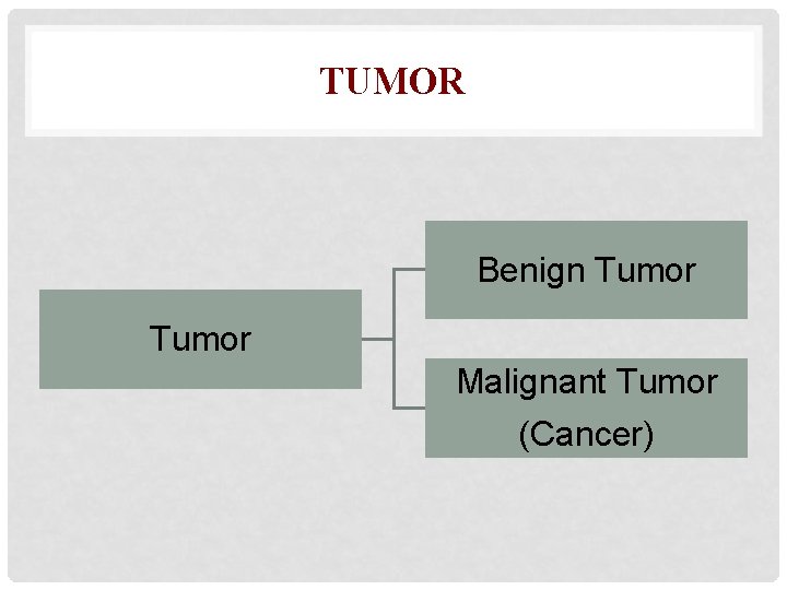 TUMOR Benign Tumor Malignant Tumor (Cancer) 