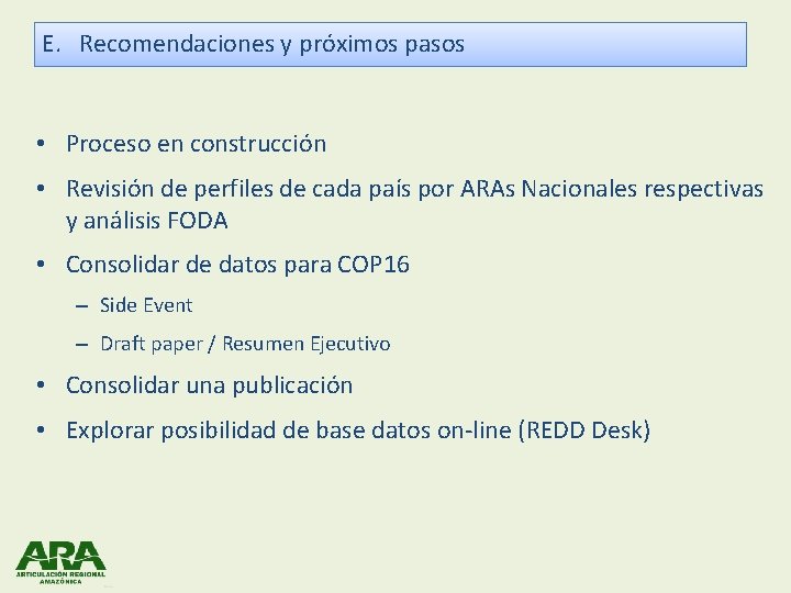 E. Recomendaciones y próximos pasos • Proceso en construcción • Revisión de perfiles de