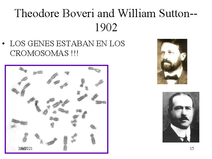 Theodore Boveri and William Sutton-1902 • LOS GENES ESTABAN EN LOS CROMOSOMAS !!! 3/6/2021 Theodore Boveri and William Sutton-1902 • LOS GENES ESTABAN EN LOS CROMOSOMAS !!! 3/6/2021