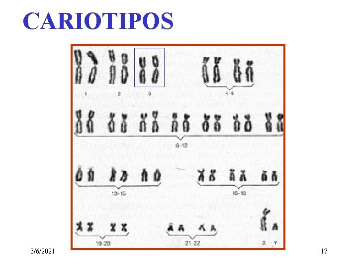 CARIOTIPOS 3/6/2021 17 CARIOTIPOS 3/6/2021 17