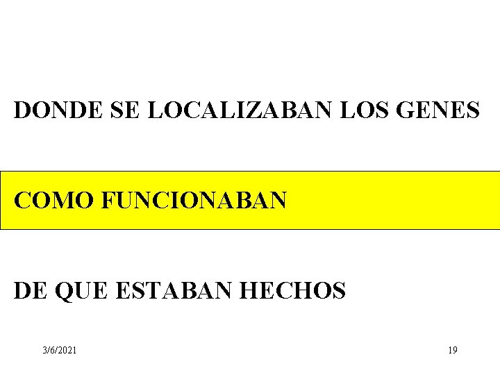 DONDE SE LOCALIZABAN LOS GENES COMO FUNCIONABAN DE QUE ESTABAN HECHOS 3/6/2021 19 DONDE SE LOCALIZABAN LOS GENES COMO FUNCIONABAN DE QUE ESTABAN HECHOS 3/6/2021 19