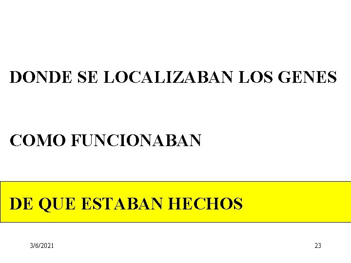 DONDE SE LOCALIZABAN LOS GENES COMO FUNCIONABAN DE QUE ESTABAN HECHOS 3/6/2021 23 DONDE SE LOCALIZABAN LOS GENES COMO FUNCIONABAN DE QUE ESTABAN HECHOS 3/6/2021 23