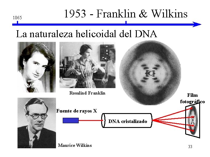 1865 1953 - Franklin & Wilkins La naturaleza helicoidal del DNA Rosalind Franklin Film 1865 1953 - Franklin & Wilkins La naturaleza helicoidal del DNA Rosalind Franklin Film