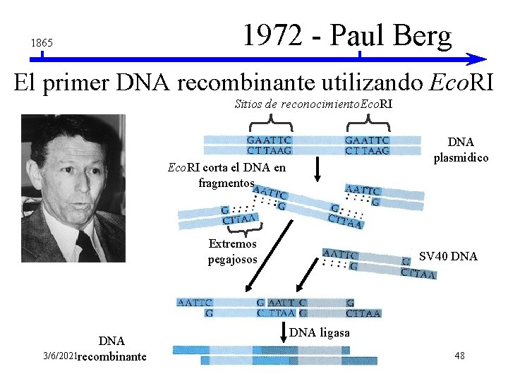 1865 1972 - Paul Berg El primer DNA recombinante utilizando Eco. RI Sitios de 1865 1972 - Paul Berg El primer DNA recombinante utilizando Eco. RI Sitios de