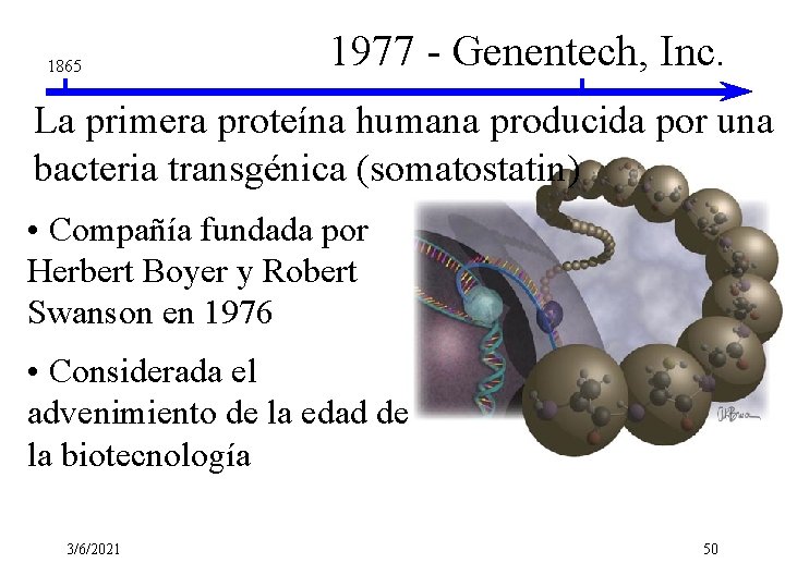 1865 1977 - Genentech, Inc. La primera proteína humana producida por una bacteria transgénica 1865 1977 - Genentech, Inc. La primera proteína humana producida por una bacteria transgénica