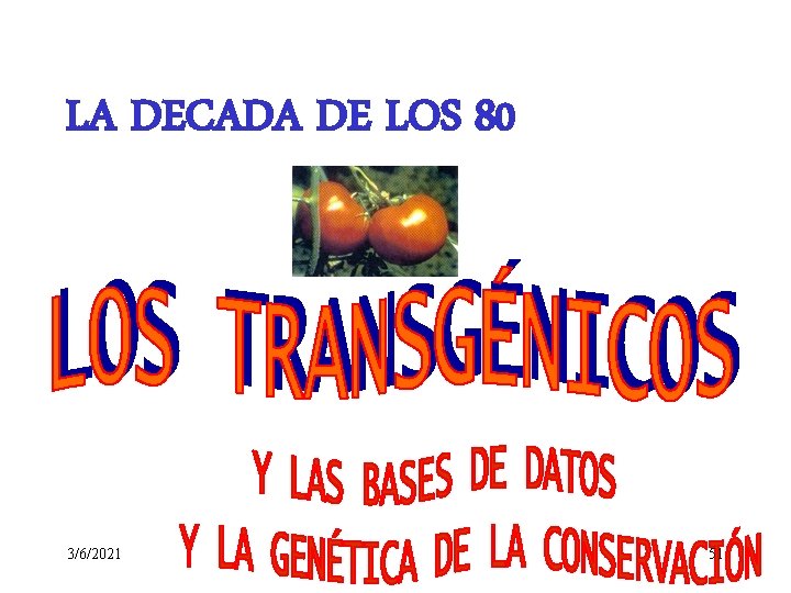 LA DECADA DE LOS 80 3/6/2021 51 LA DECADA DE LOS 80 3/6/2021 51