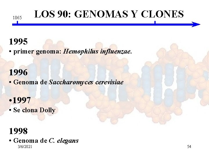 1865 LOS 90: GENOMAS Y CLONES 1995 • primer genoma: Hemophilus influenzae. 1996 • 1865 LOS 90: GENOMAS Y CLONES 1995 • primer genoma: Hemophilus influenzae. 1996 •
