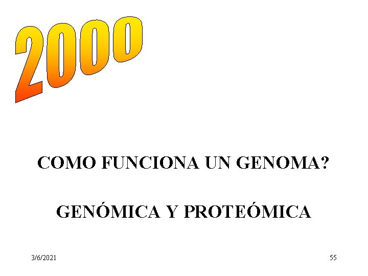 COMO FUNCIONA UN GENOMA? GENÓMICA Y PROTEÓMICA 3/6/2021 55 COMO FUNCIONA UN GENOMA? GENÓMICA Y PROTEÓMICA 3/6/2021 55